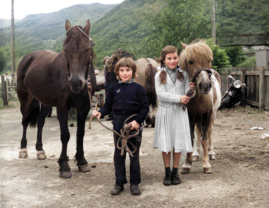 Repaired - horses